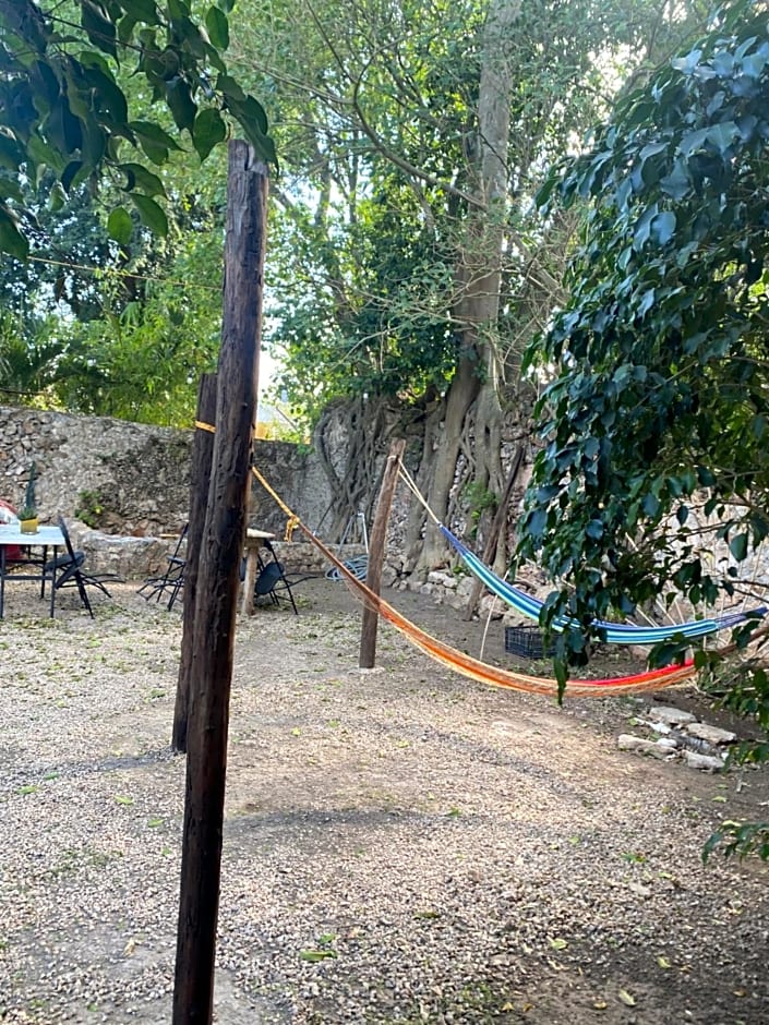 XIINBAL BEDS