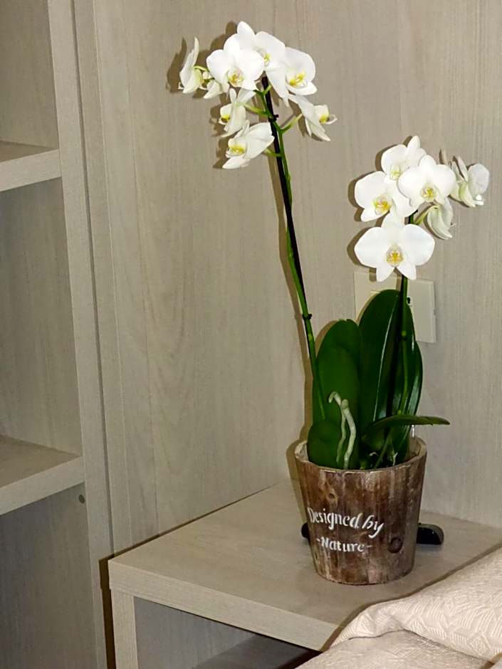 Design Hotel Astra B&B