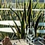 Hotel Viareggio