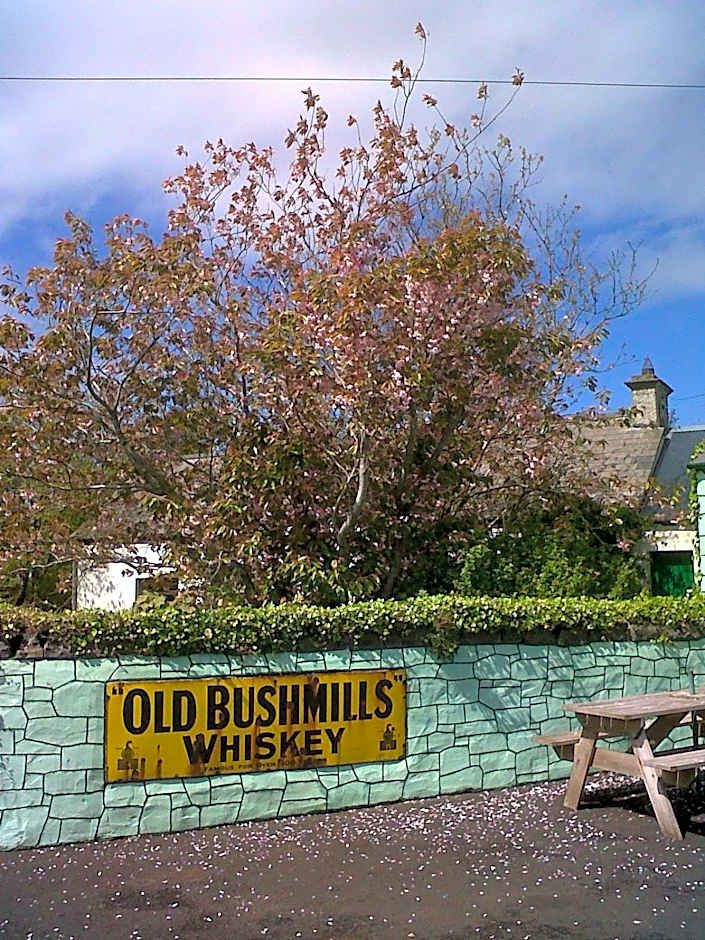 Causeway tavern bed & breakfast