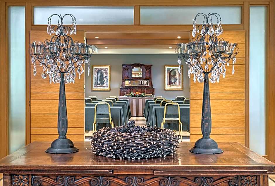 Divani Meteora Hotel