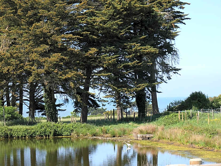 Eco-Domaine La Fontaine - HOTEL-SPA - Plage de la Fontaine aux Bretons