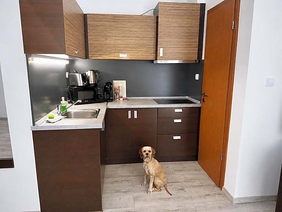 Prater Residence Apartment Budapest