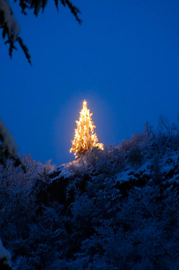 Apparthotel Gartenresidence Nalserhof