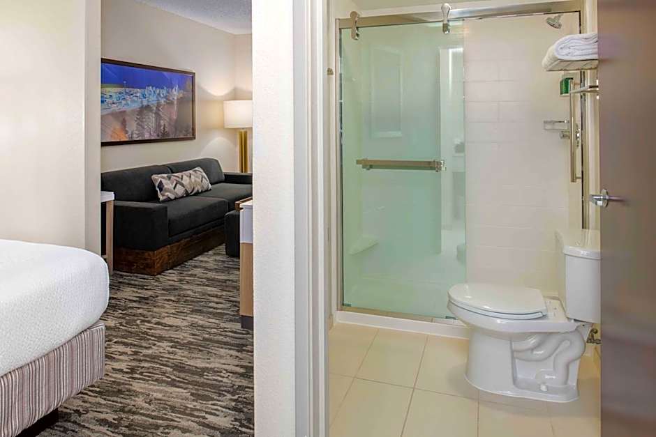 SpringHill Suites by Marriott Seattle Downtown/South Lake Union