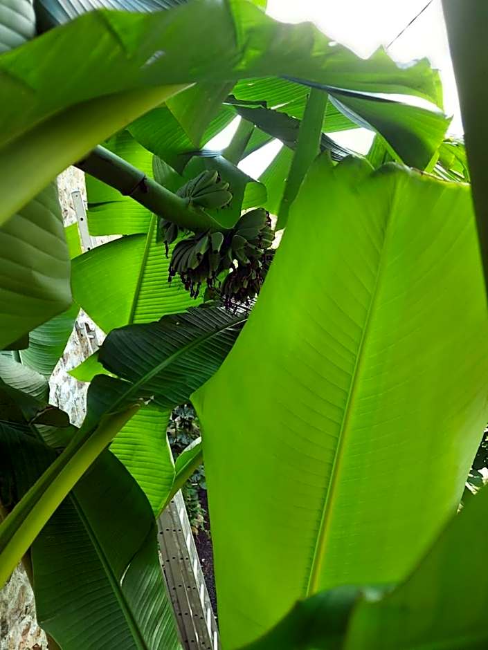 Le Mas De La Siffleuse