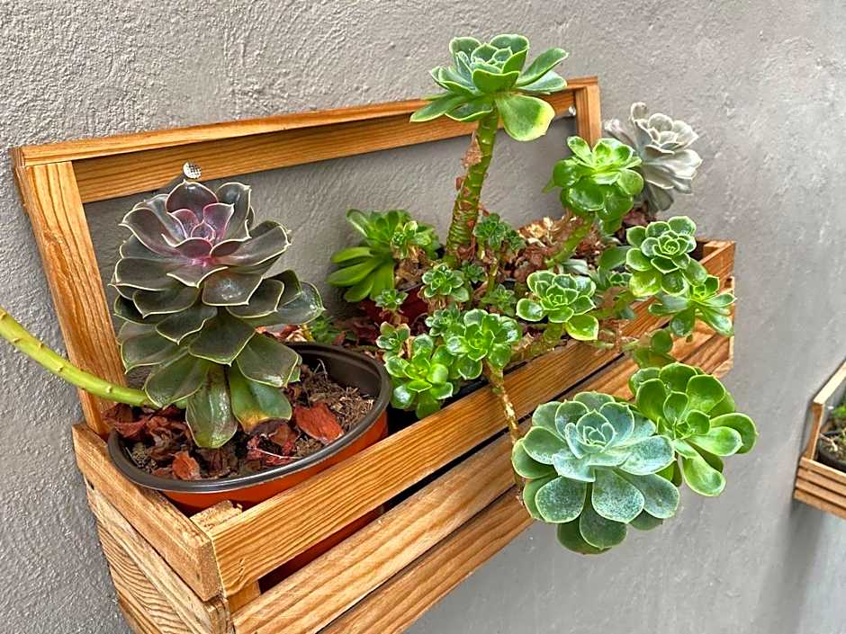 Arawi Hotel Boutique