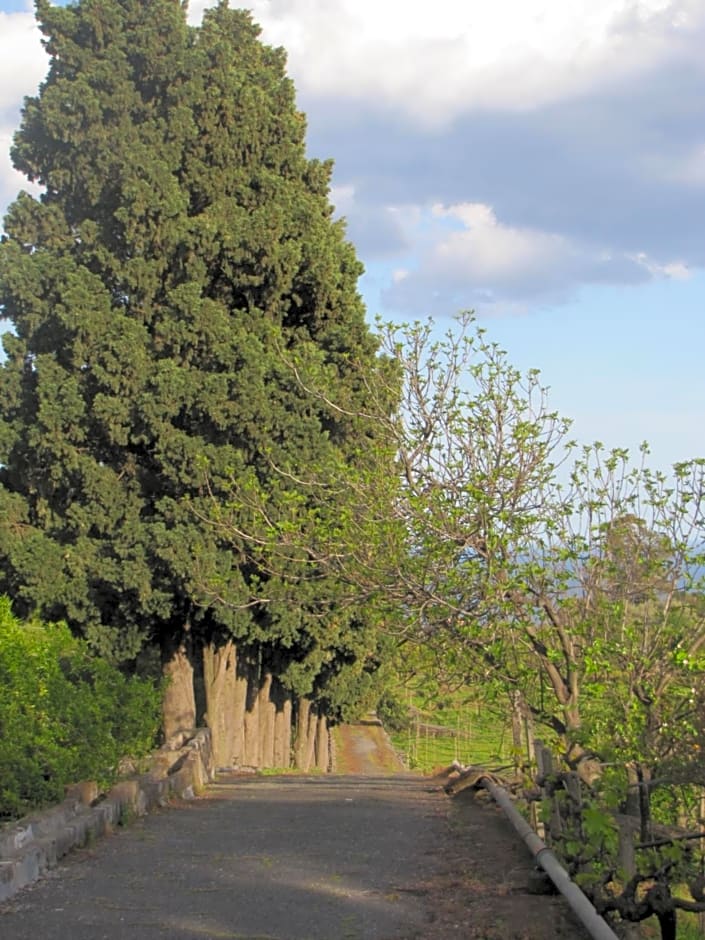 Etna B&B La casa di Pippinitto