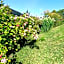 Guinea Fowl Lodge - Lagoon & Heads View B&B, Central Knysna