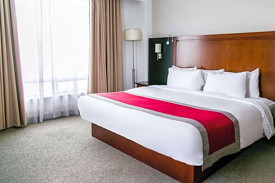 Radisson Poliforum Plaza Hotel Leon