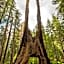 Rush Creek Lodge at Yosemite