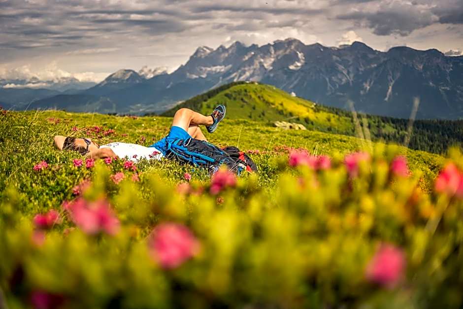 Landhaus & Ferienwohnungen Bergrast