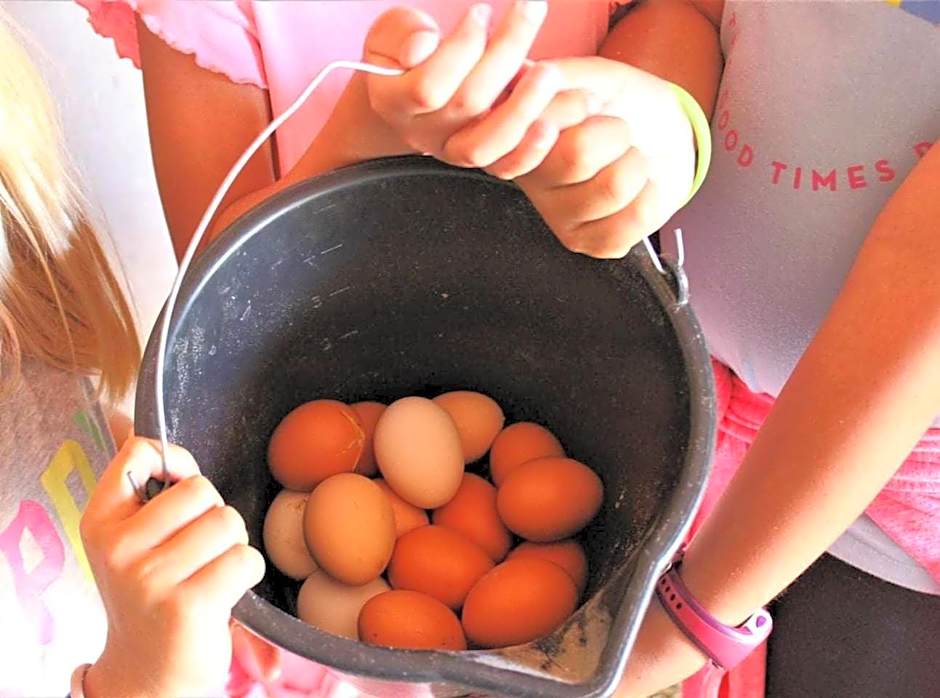 Casa El Tío Carrascón alojamiento rural