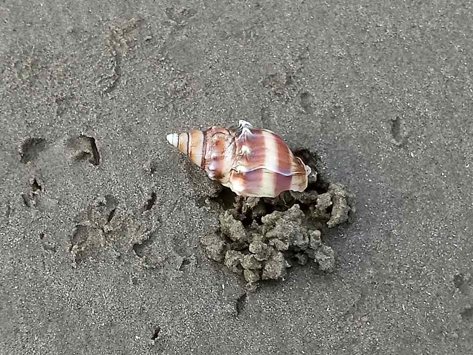 Prédio com piscina na cobertura frente ao mar, apartamento para até 6 pessoas e 3 crianças até 8 anos, churrasqueira na sacada, Wi-Fi grátis, NÃO oferecemos roupas de cama e banho, 1 vaga de garagem, na Praia Grande-Vila Mirim
