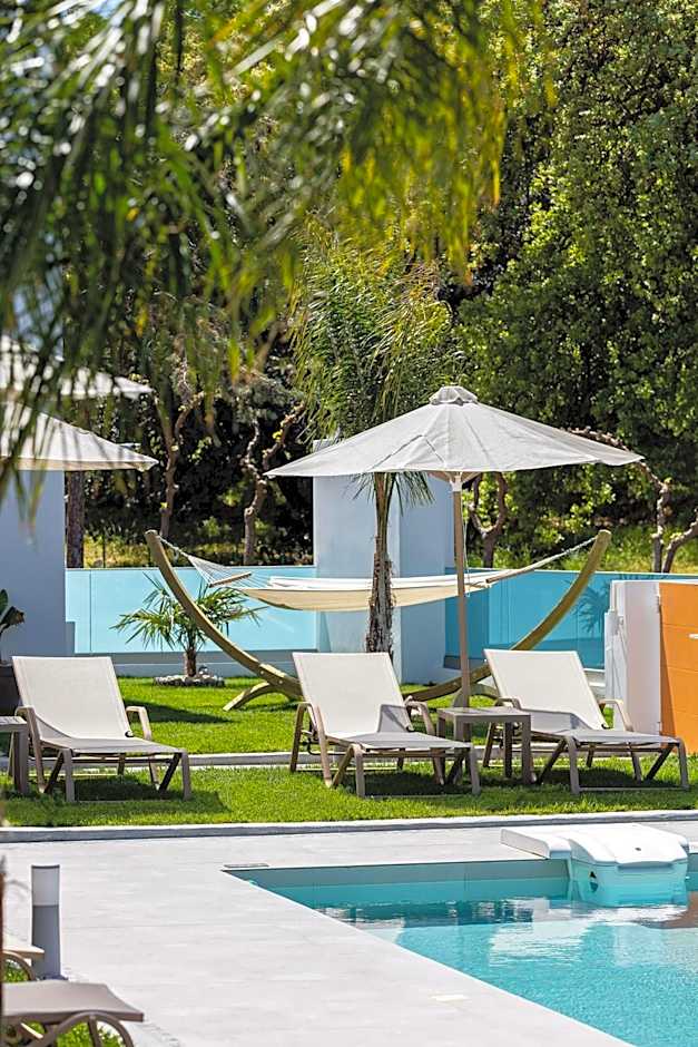 Coconut Palm Paradise