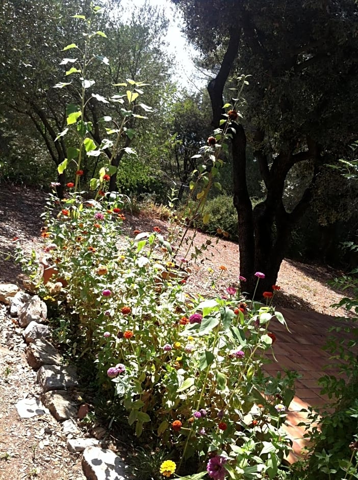 B&B Le Niaouli – Lorgues, ID