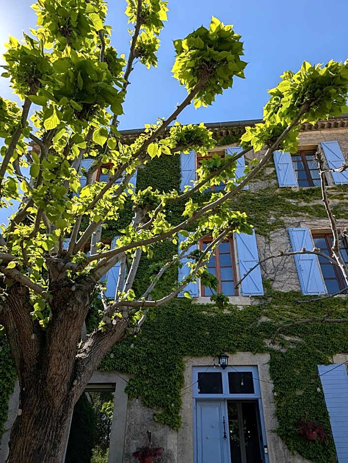 Eloi Merle - Chambre d'hôtes