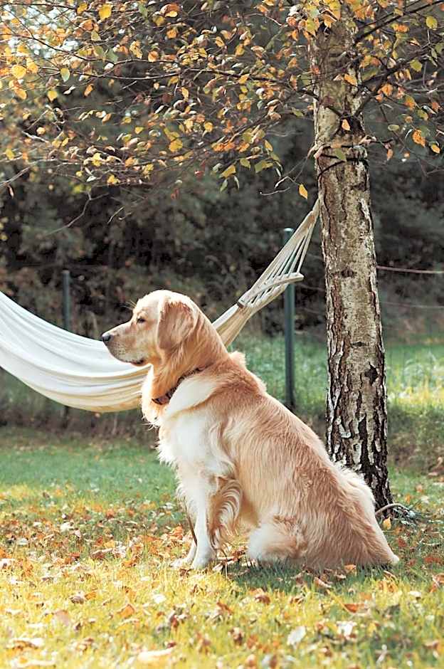 Sen i Wino, domki na winnicy ze strefą SPA