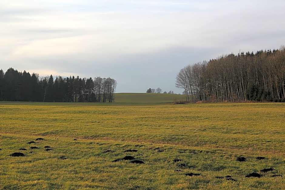 Gasthof Landhotel Hirsch