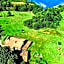 Complex Pristan in the mountain