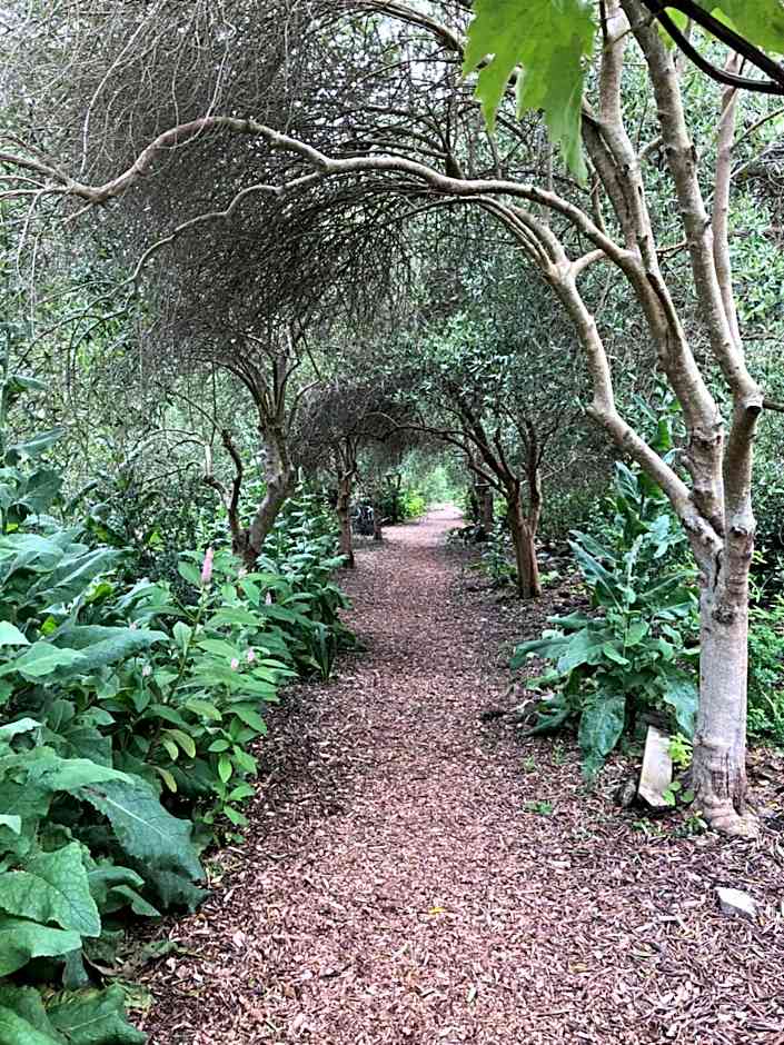 Isle of Wight Caravan