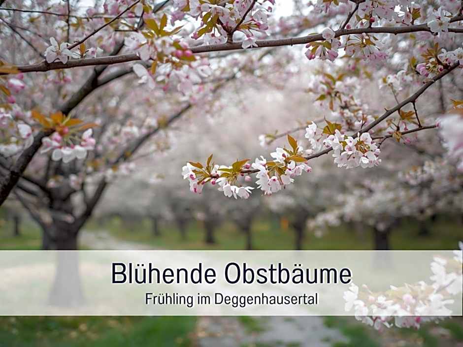 Landgasthof Linde - Restaurant beliebt bei Einheimischen