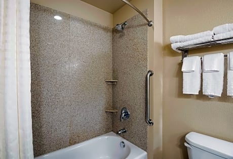 Suite-1 King Bed, Mobility Accessible, Bathtub, Sofabed, Non-Smoking, Full Breakfast