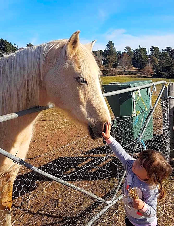 ALPINE COUNTRY MOTEL plus FREE COFFEE