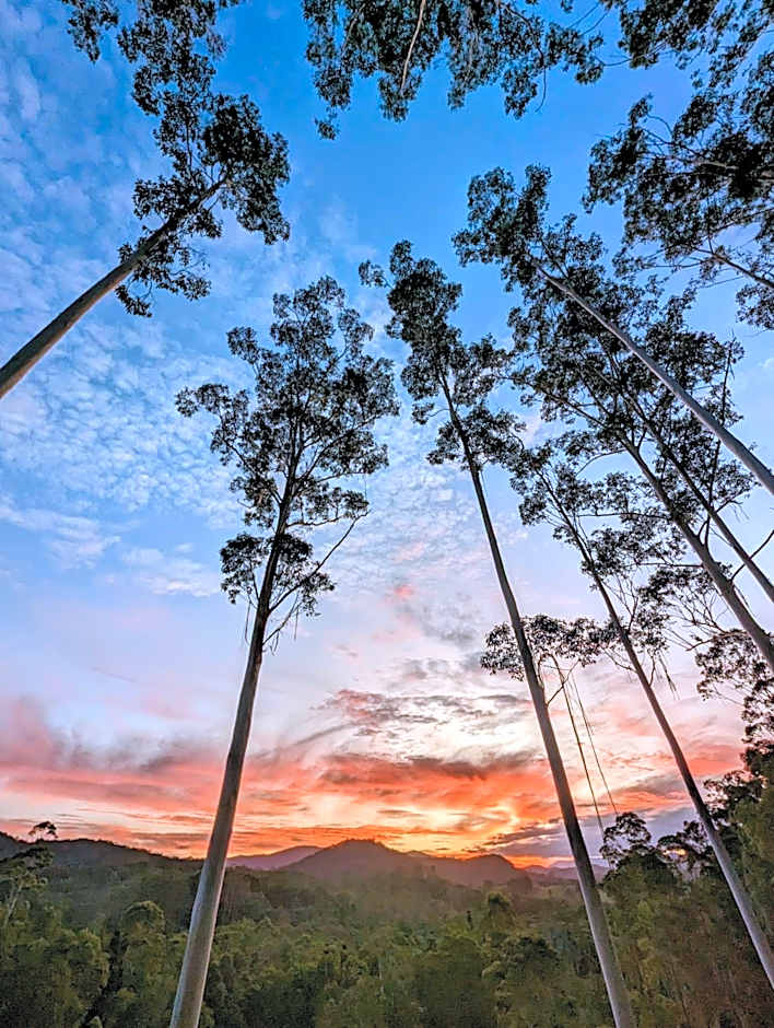 La Rochér Eco Retreat
