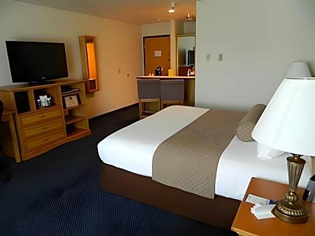 Mini Suite