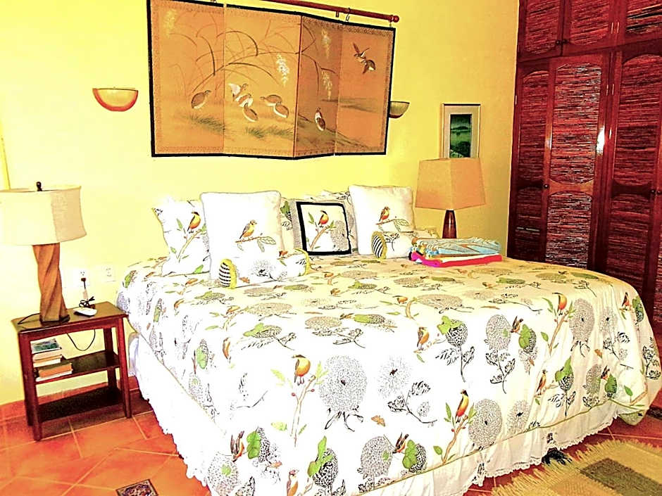 Casa Gatos