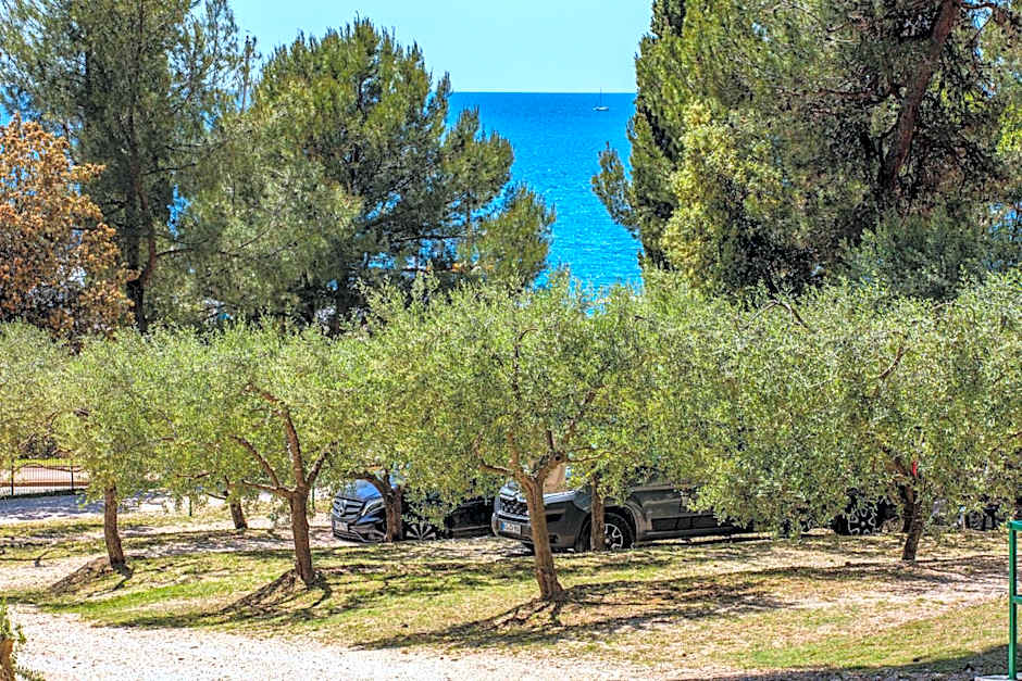 Porton Nature Hideouts