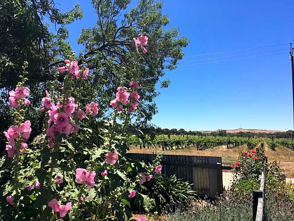 Amy's House Bed & Breakfast