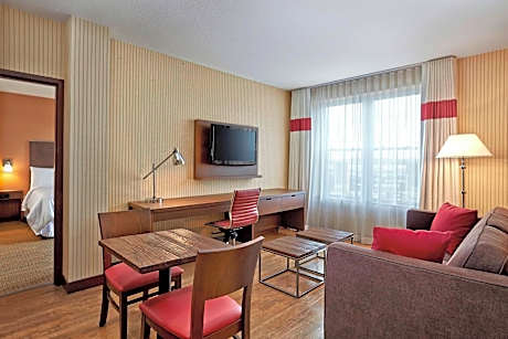 Suite, 1 King Bed with Sofa bed (1 King Bed and 1 Double Sofa Bed)