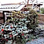 Kinkaku