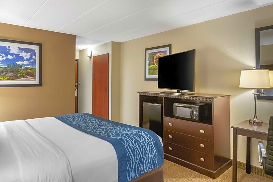 Comfort Inn Grand Rapids Airport