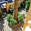Arena Alfieri B&B