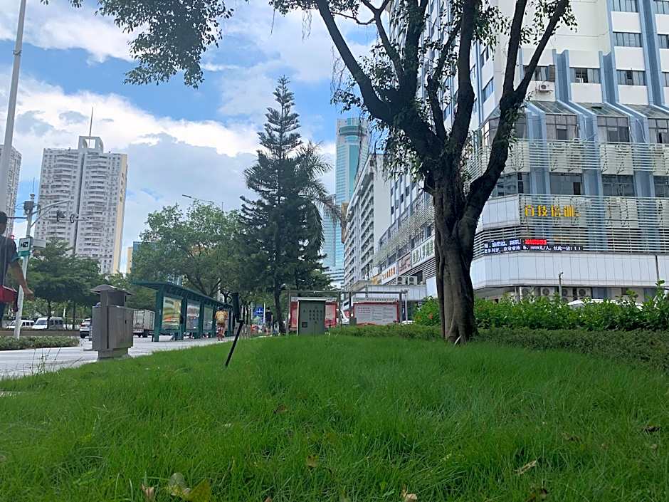 Insail Hotel Shenzhen Dongmen Branch – Shenzhen, IA