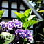 VILA VITA Burghotel Dinklage