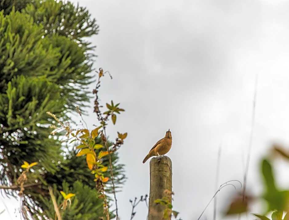 Pousada Recanto da Serra