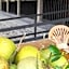 Thongphaphum Place