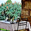 Montusi Mountain Lodge