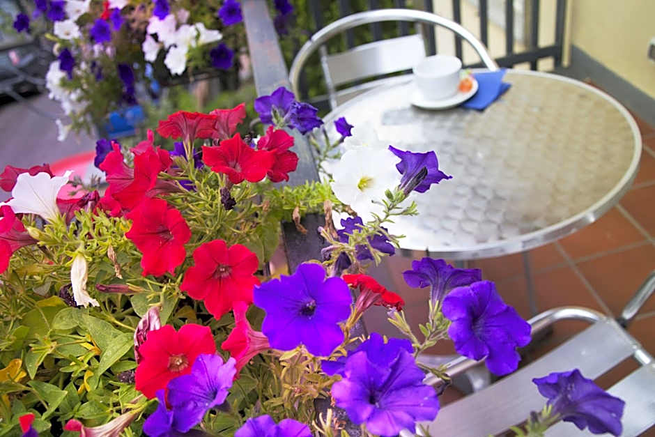 B&B Notti E Dintorni