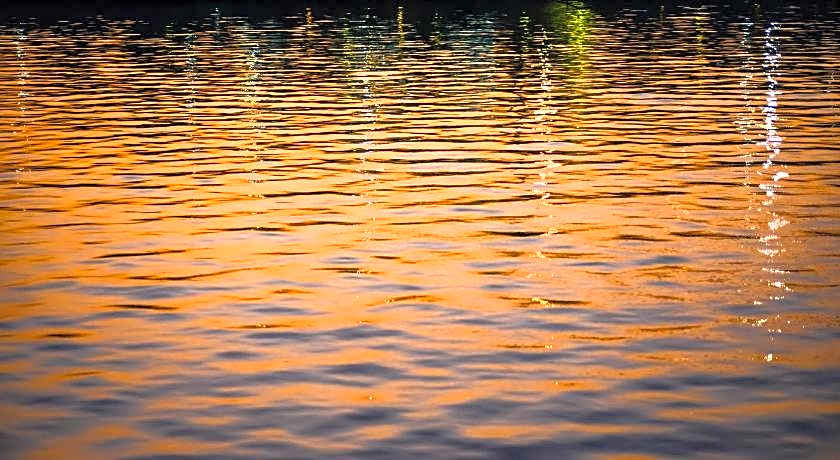 Lemon Tree Premier, Sabarmati Riverfront, Ahmedabad