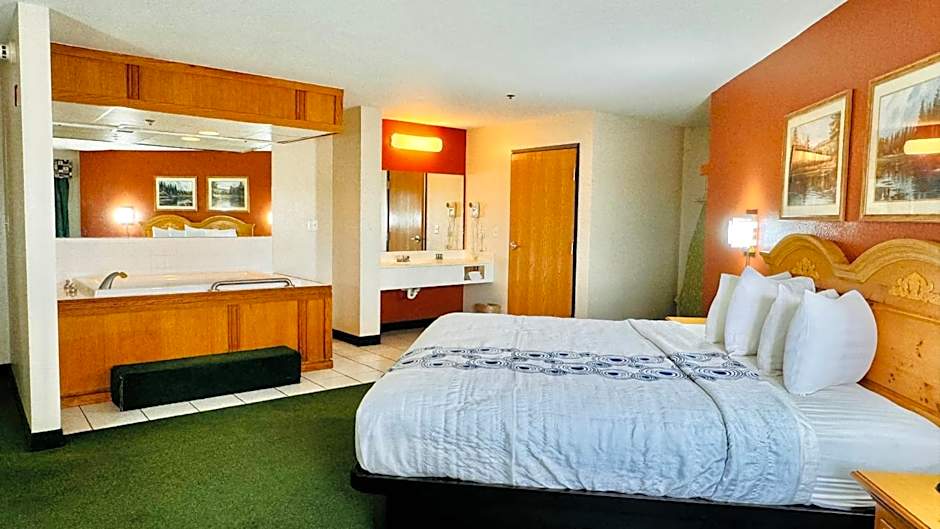 Regency Inn and Suites