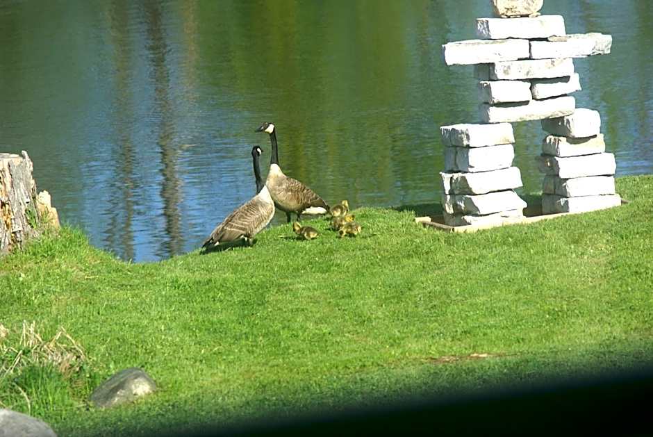 Liftlock Guest House