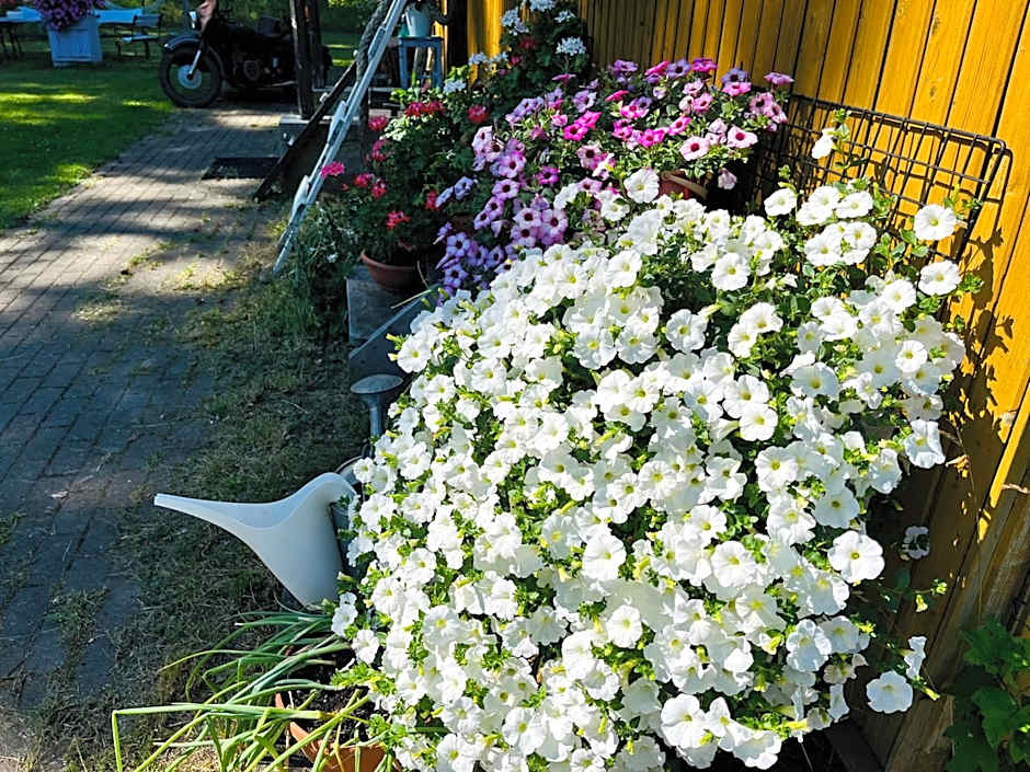 Torgu Royal Guesthouse