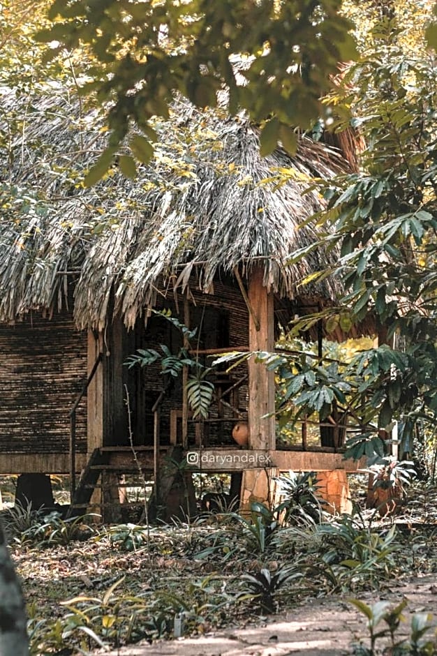 Santuario de Cocodrilo Tres Lagunas, Selva Lacandona