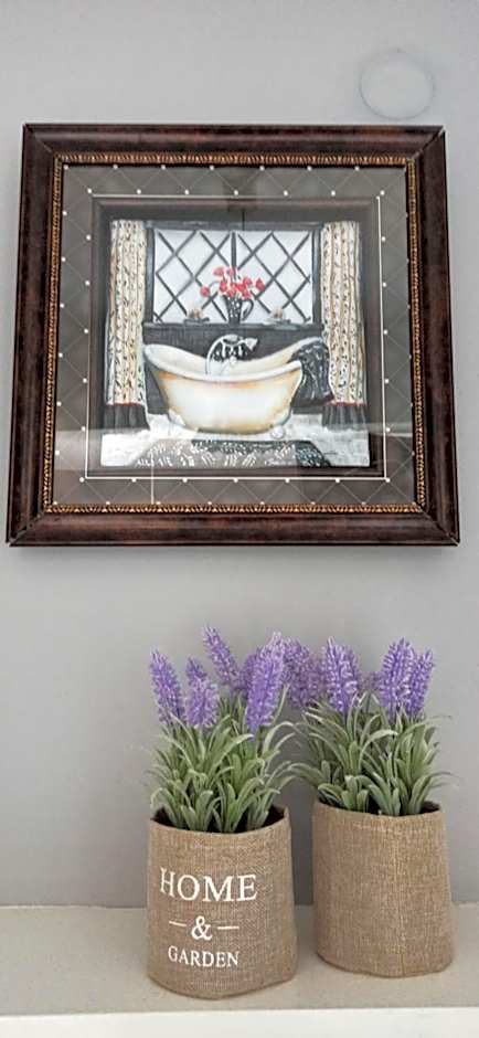 Pillbox Seafront Studios and Apartments