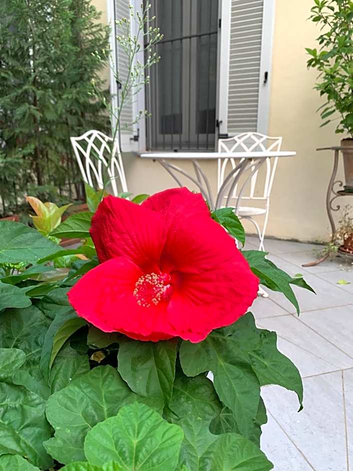 La Terrazza Vercelli Bed & Charme